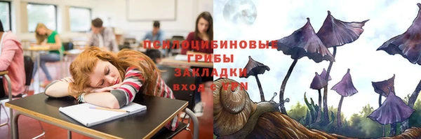mdma Новодвинск
