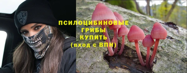 эйфоретик Нея