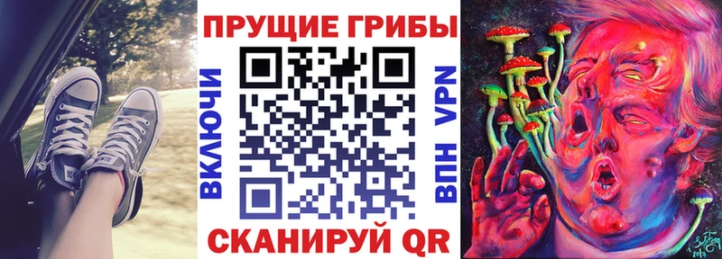 Псилоцибиновые грибы MAGIC MUSHROOMS  Купить закладки  Киселёвск 